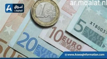 تحركات مفاجئة.. سعر اليورو مقابل الجنيه المصري في البنوك مطلع يناير 2026